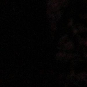 Meet your Posher, Gladys